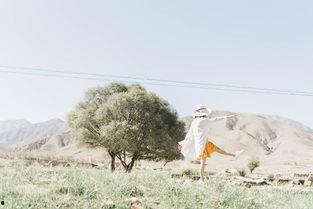 春风自驾游爆料视频,探寻绝美风景，畅享自由之旅  第3张