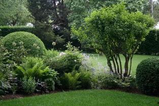 园林绿化爆料视频大全,揭秘美丽背后的秘密 第1张 园林绿化爆料视频大全,揭秘美丽背后的秘密 第1张